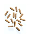Rhodiola Rosea Bio | 90 gélules